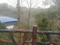 -瑶湖郊野森林公园