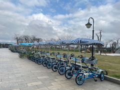 -芒洲湿地公园