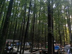-山王坪喀斯特国家生态公园
