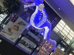 -中部国际机场