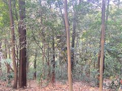 -广州市白云山风景名胜区