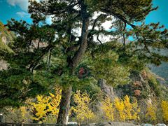 -秦岭终南山世界地质公园翠华山景区