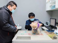 -关爱宠物医院·猫科中心·消化科(滨湖万达分院)