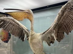 -浙江自然博物院(杭州馆)