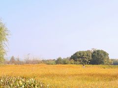 -良渚古城遗址公园