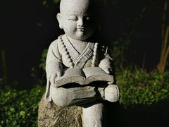 -武陵山森林公园