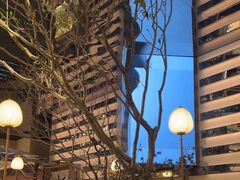 -桂满陇·海市蜃楼·黑金(国金店)