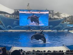 -上海海昌海洋公园