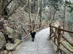 -燕子河大峡谷天坑仙境