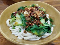 牛肉油泼拉条子-马振面(小皮院店)