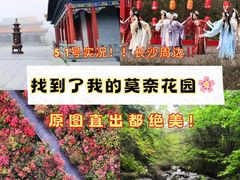 -大围山国家森林公园