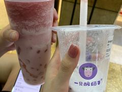 -一只酸奶牛(八一路店)