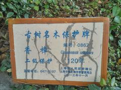 -上海蔡元培故居陈列馆