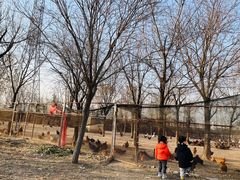 -甜心庄园·甜心草莓采摘园(西青中北店)