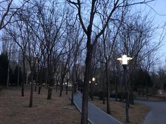 -北极寺公园
