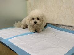 -天津前进宠物医院(前进道店)