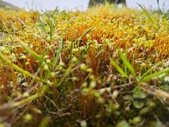 -狼山风景名胜区