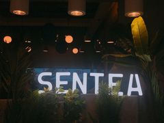 -SENTEA森茶(麦地丽日店)