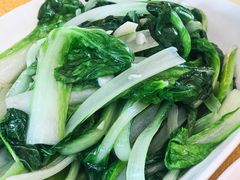 炒小白菜-鹏城人家海鲜酒家·23年老字号(较场尾店)