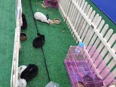 -碧乐城(无锡梁溪店)