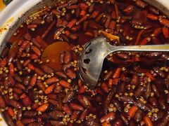 -羊门客在·烤盐池滩羊·川菜