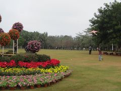 -万绿园