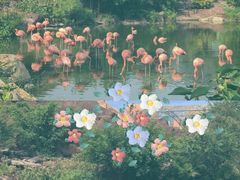 -芽庄珍珠岛游乐园