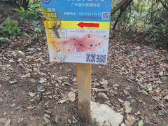 -火炉山森林公园