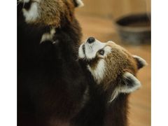 -无锡动物园·太湖欢乐园