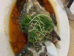 石斑-老字号蛇口德记烧腊饭店·海鲜加工
