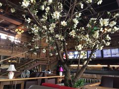 山有花啡餐厅-山有花啡餐厅(常营总店)