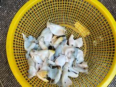 -长顺河豚馆(江洲东路)