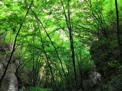-孤山寨风景区