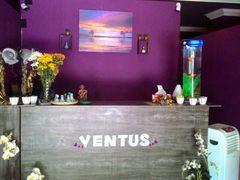 -ventus spa 沙巴亚庇正宗精油按摩会所