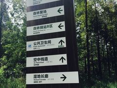 -黄海国家森林公园