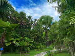 -中国科学院西双版纳热带植物园
