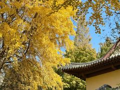 -郑和公园
