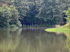 -桤木河湿地公园