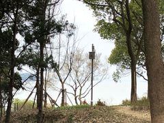 -上海市保健医疗中心(华东疗养院)