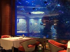 -迪拜帆船酒店海底餐厅