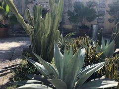 -维兹卡亚博物馆及花园