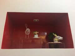 -学知乐教育·幼小衔接·小学科辅导(浦东外高桥森兰中心)