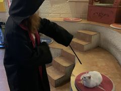 -逃脱反斗城沉浸剧情密室(北京路店)