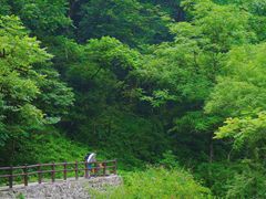 -西岭雪山大飞水景区