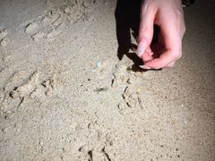 -三亚亚龙湾万豪度假酒店