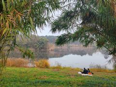 -白鹭湾湿地公园
