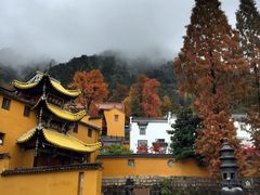 -九华山聚龙大酒店