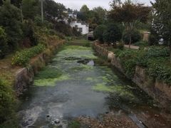 -石塘人家