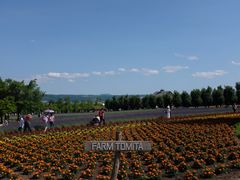 -富田农场