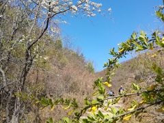 -蟠龙山长城景区